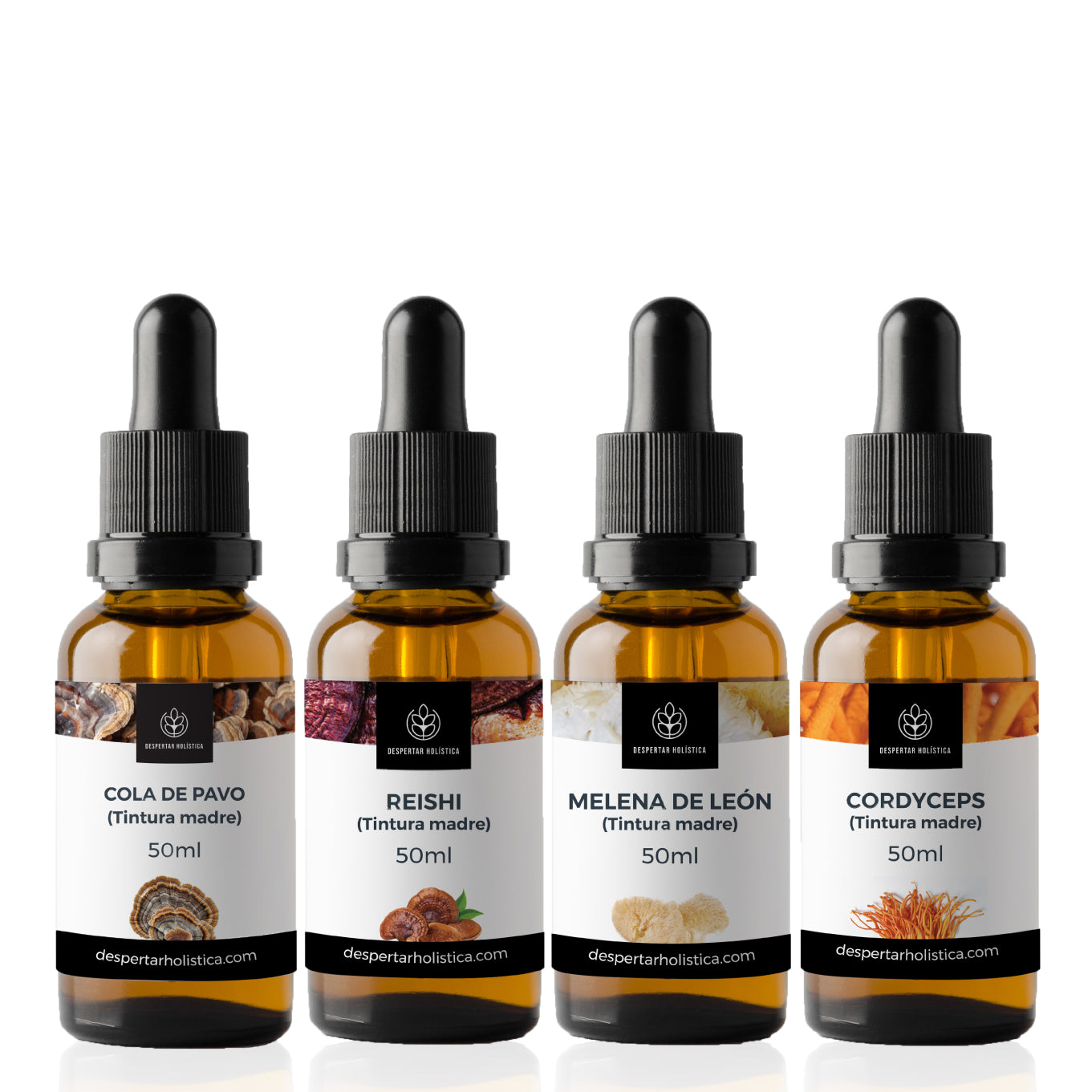 Combo 4 Tinturas Madre de Cola de Pavo, Reishi, Melena de León y Cordyceps