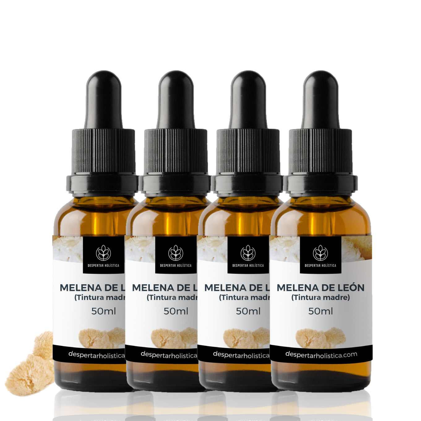 Melena de León