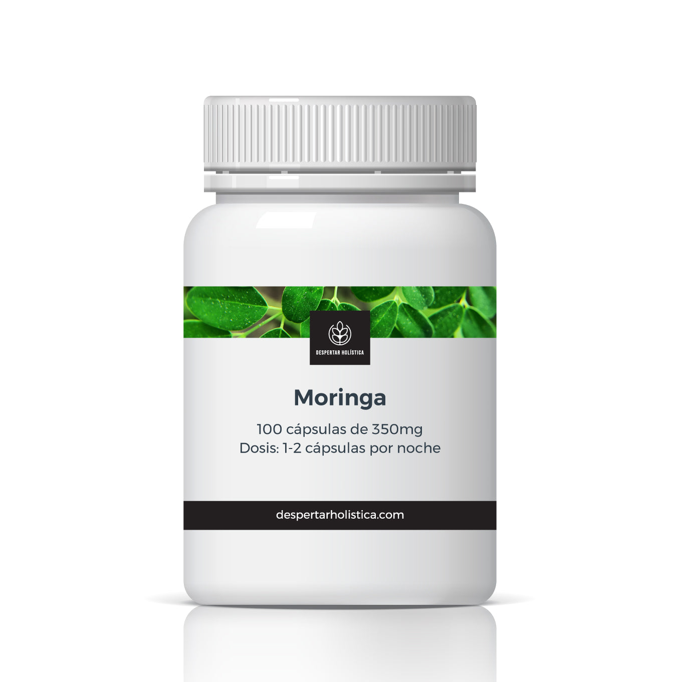 Moringa Orgánica