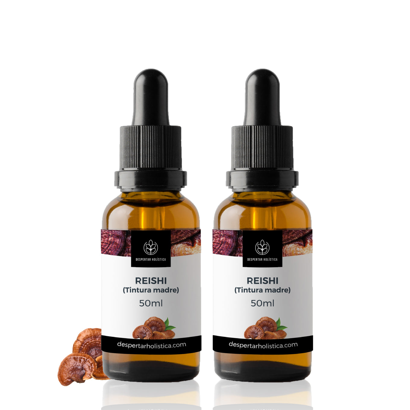 Reishi
